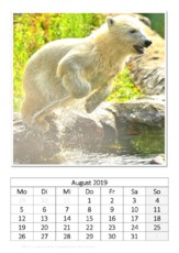 August_Eisbär_3.pdf